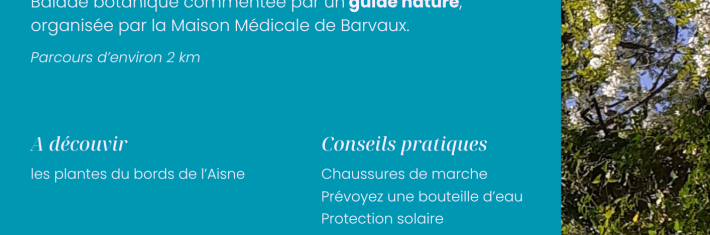 Balade Nature (2).png